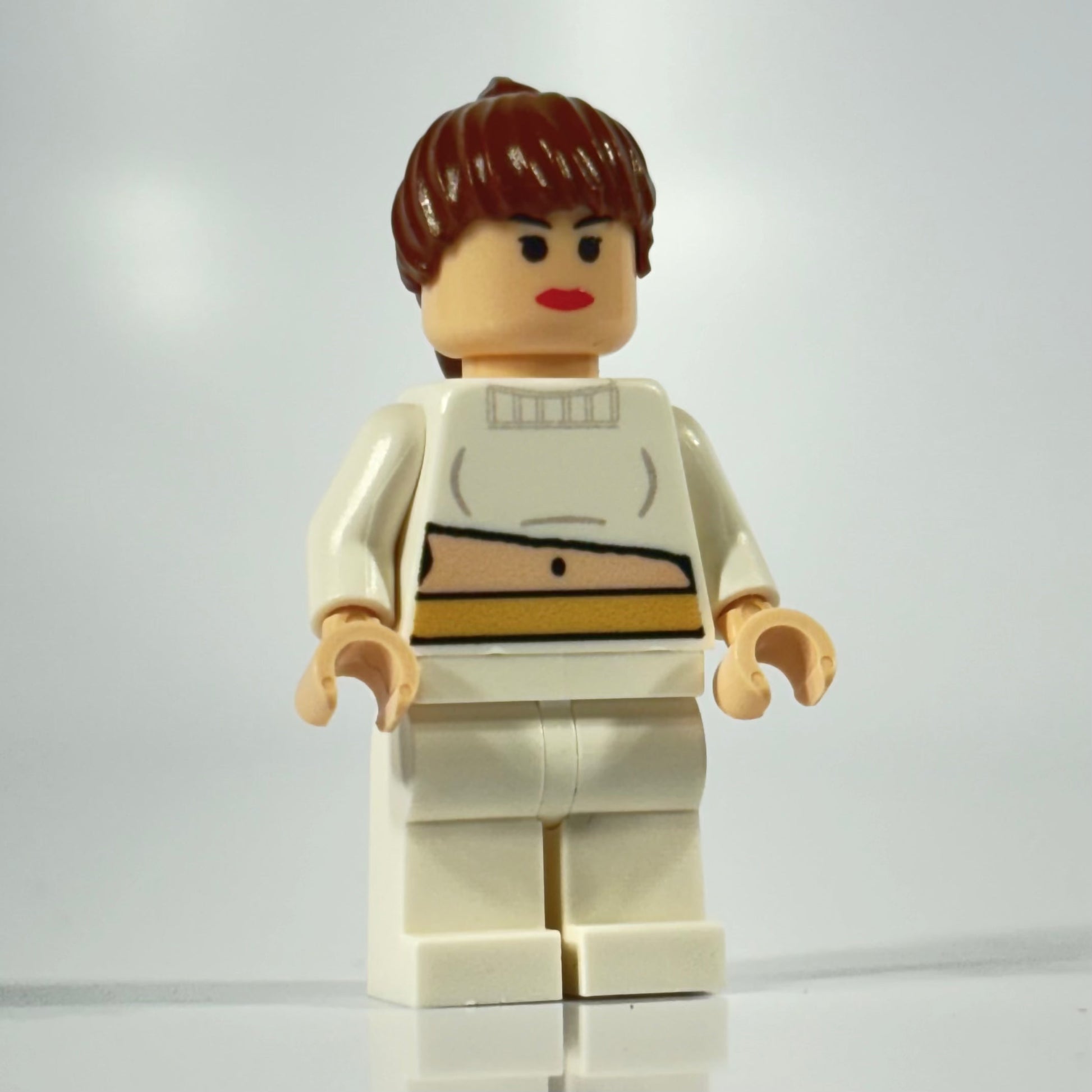 Classic Geonosis Lover LEGO minifigure with detailed design